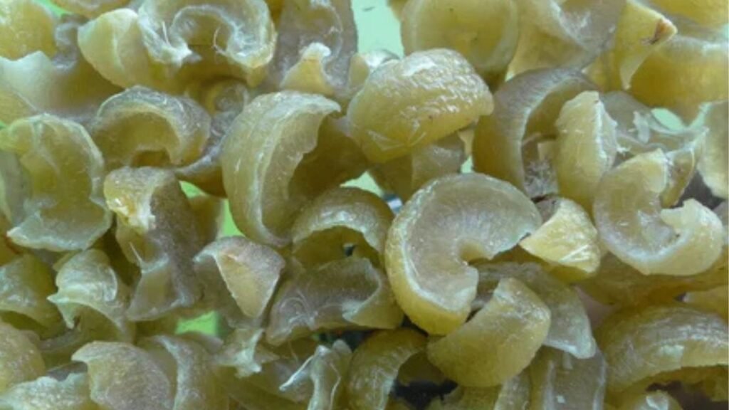 Nutritious of Amla Candy